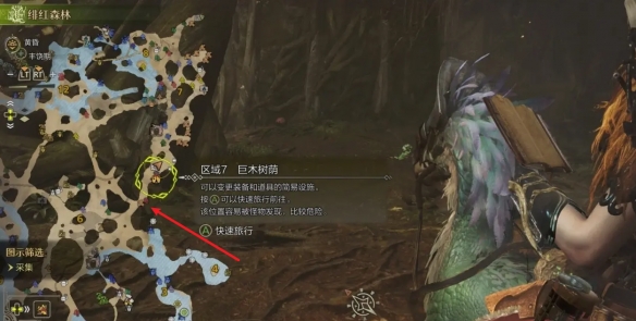 JDG战队韩国选手人数解析